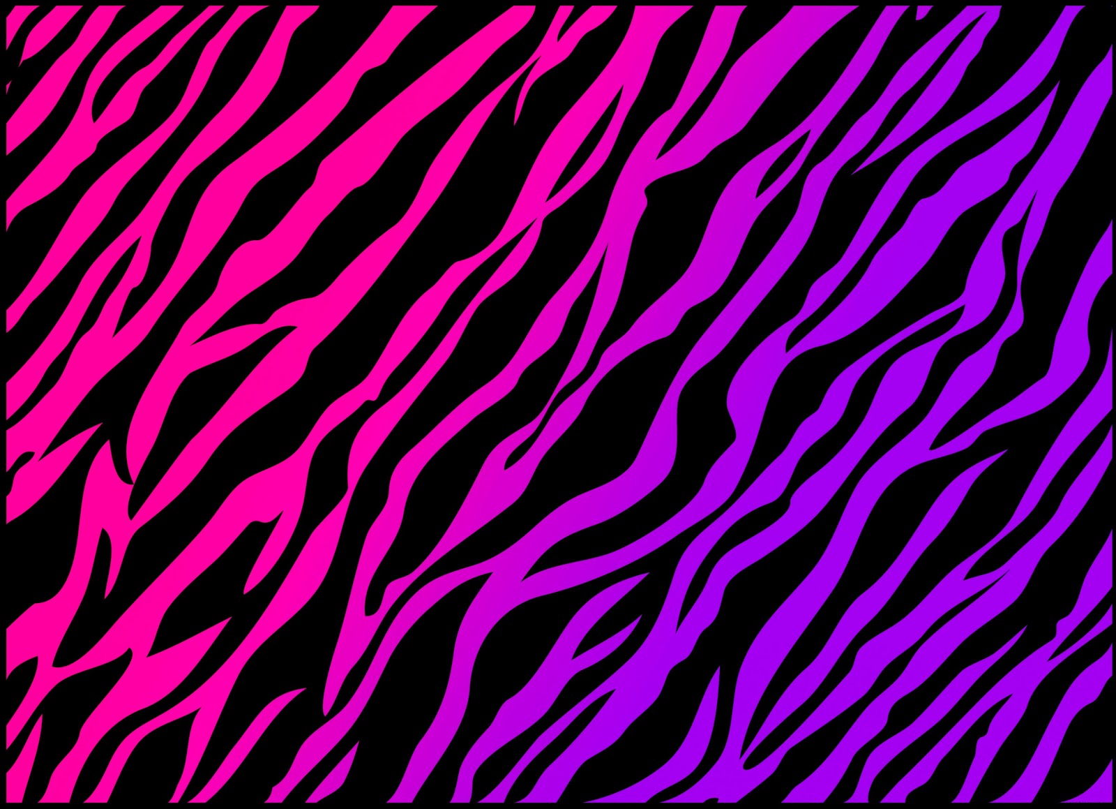 Colorful Zebra Print Colorful Zebra Print
