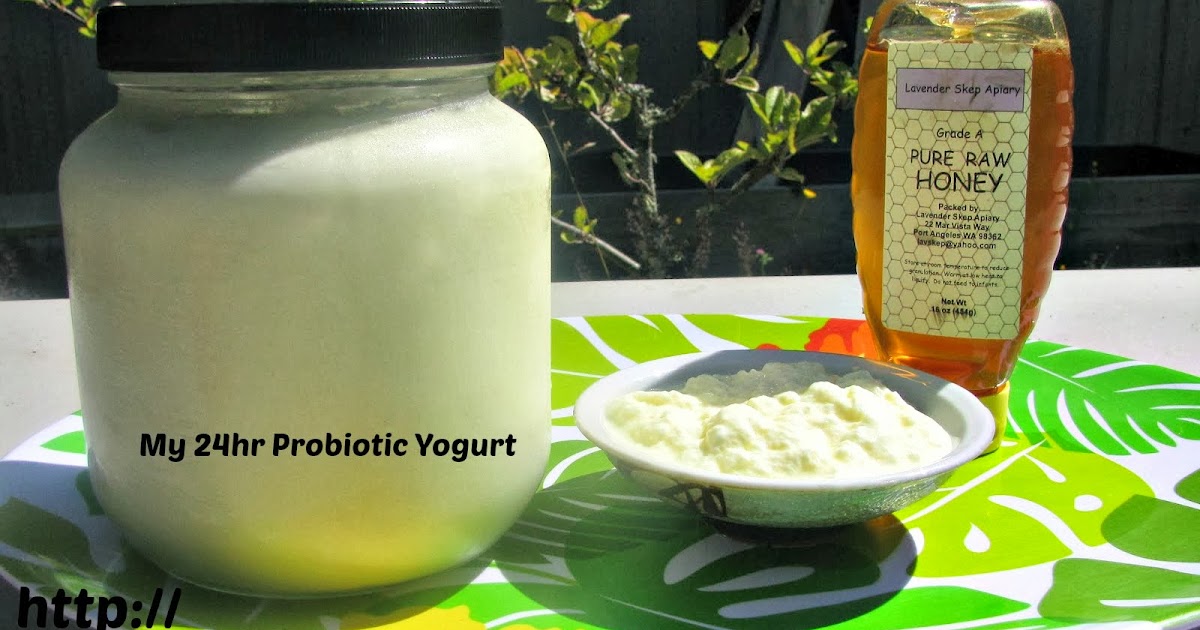 JoAnna GlutenFree Chef and Health Enthusiast My 24Hour Probiotic