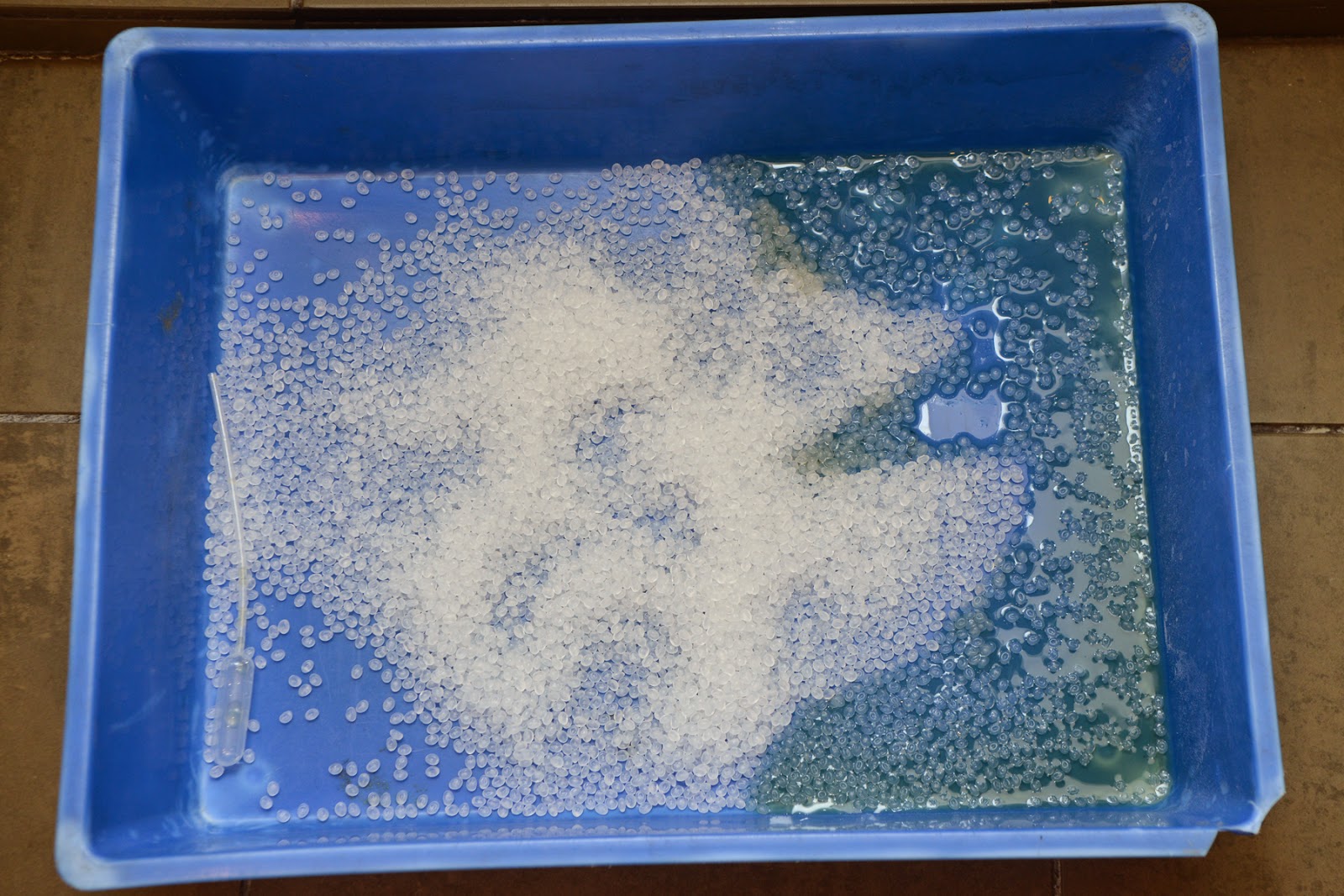 Small Animal Talk Collecting a urine sample from your cat