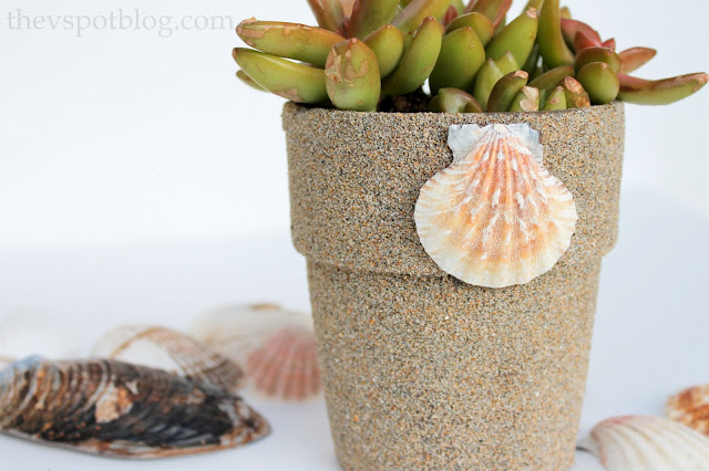 Coastal inspired flower pots and planters using sand and glue. #diy #craft