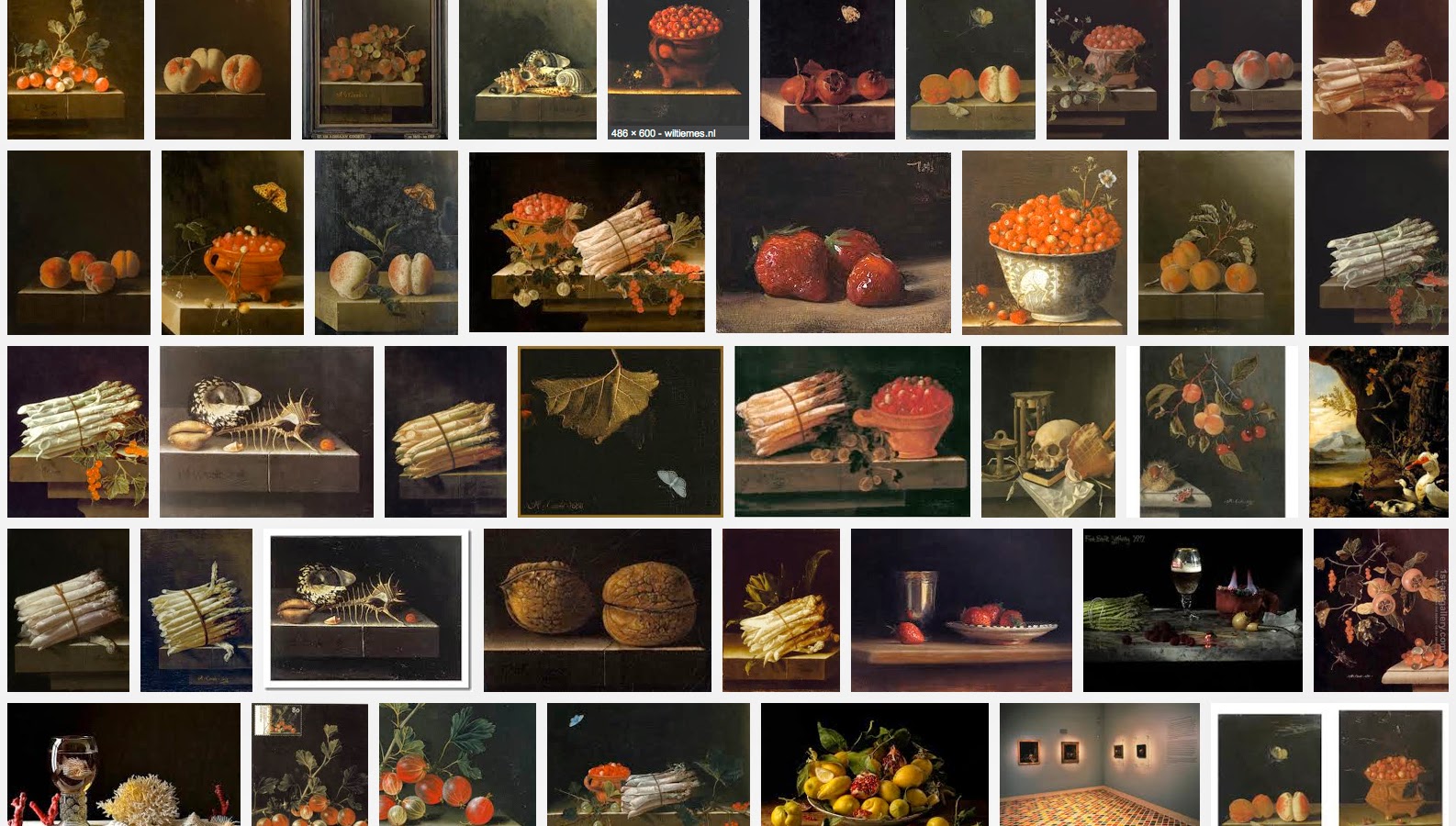 dolfpauw Adriaen Coorte