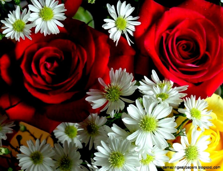 NATURE FLOWERS WALLPAPERS Share your Moments with ourdunya NATURE FLOWERS WALLPAPERS Share your Moments with ourdunya