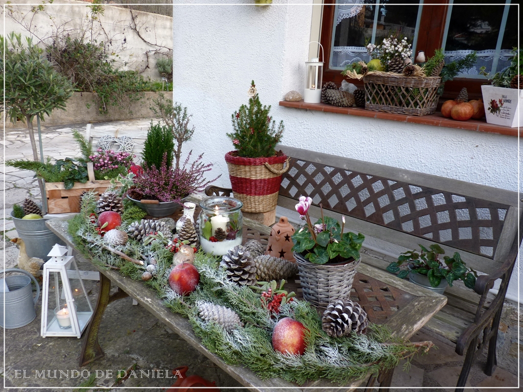 El mundo de daniela / danielas welt: weihnachtszeit auch im garten ...