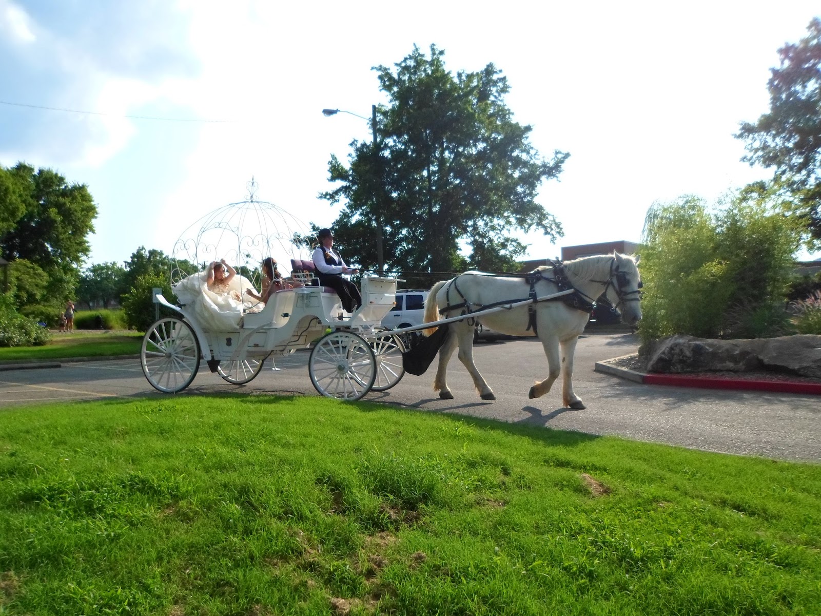Sugar Creek Carriages Cinderella Carriage