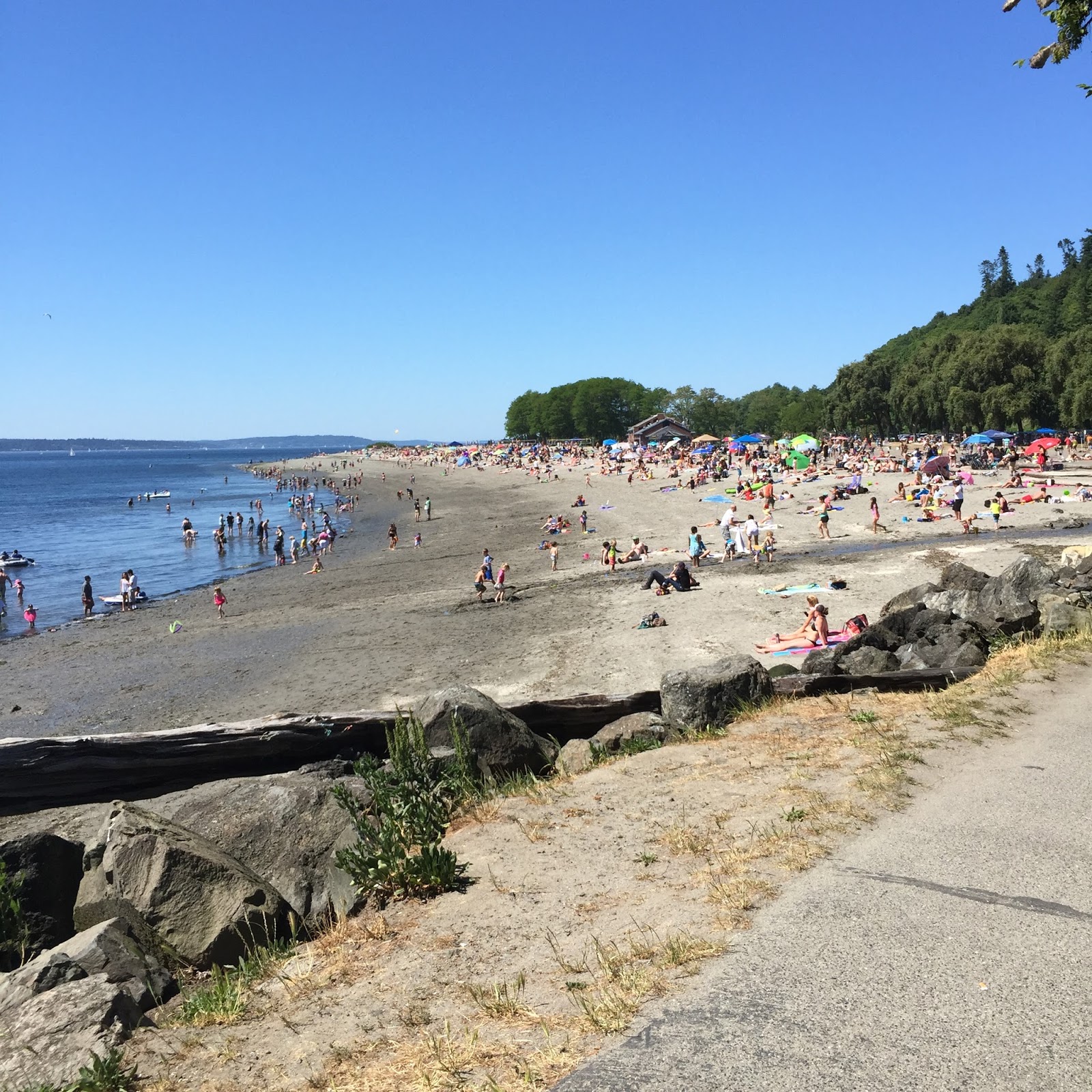 Dsk Steph Golden Garden Beach Seattle