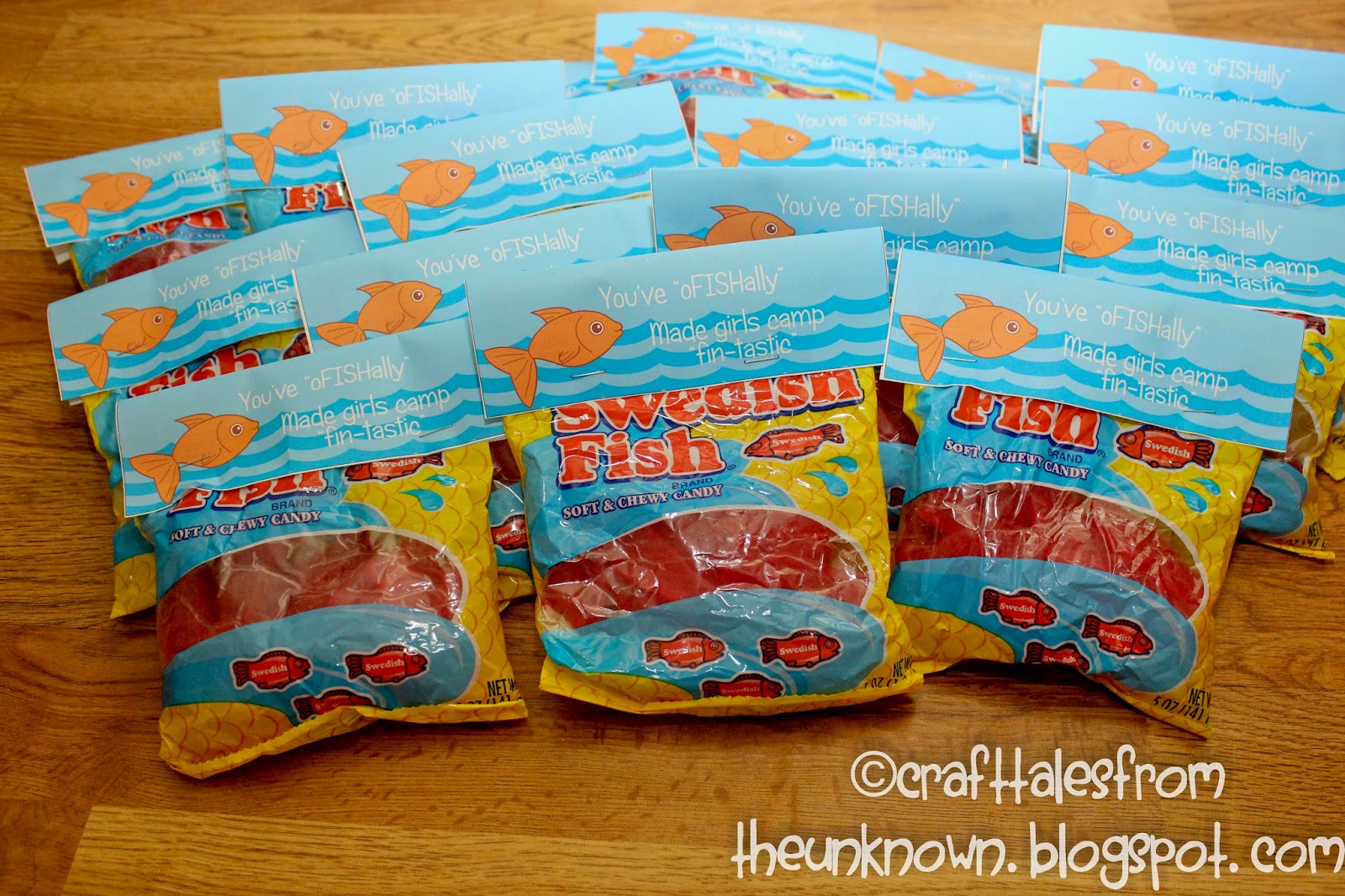 Creations Girls Camp Pillow treats