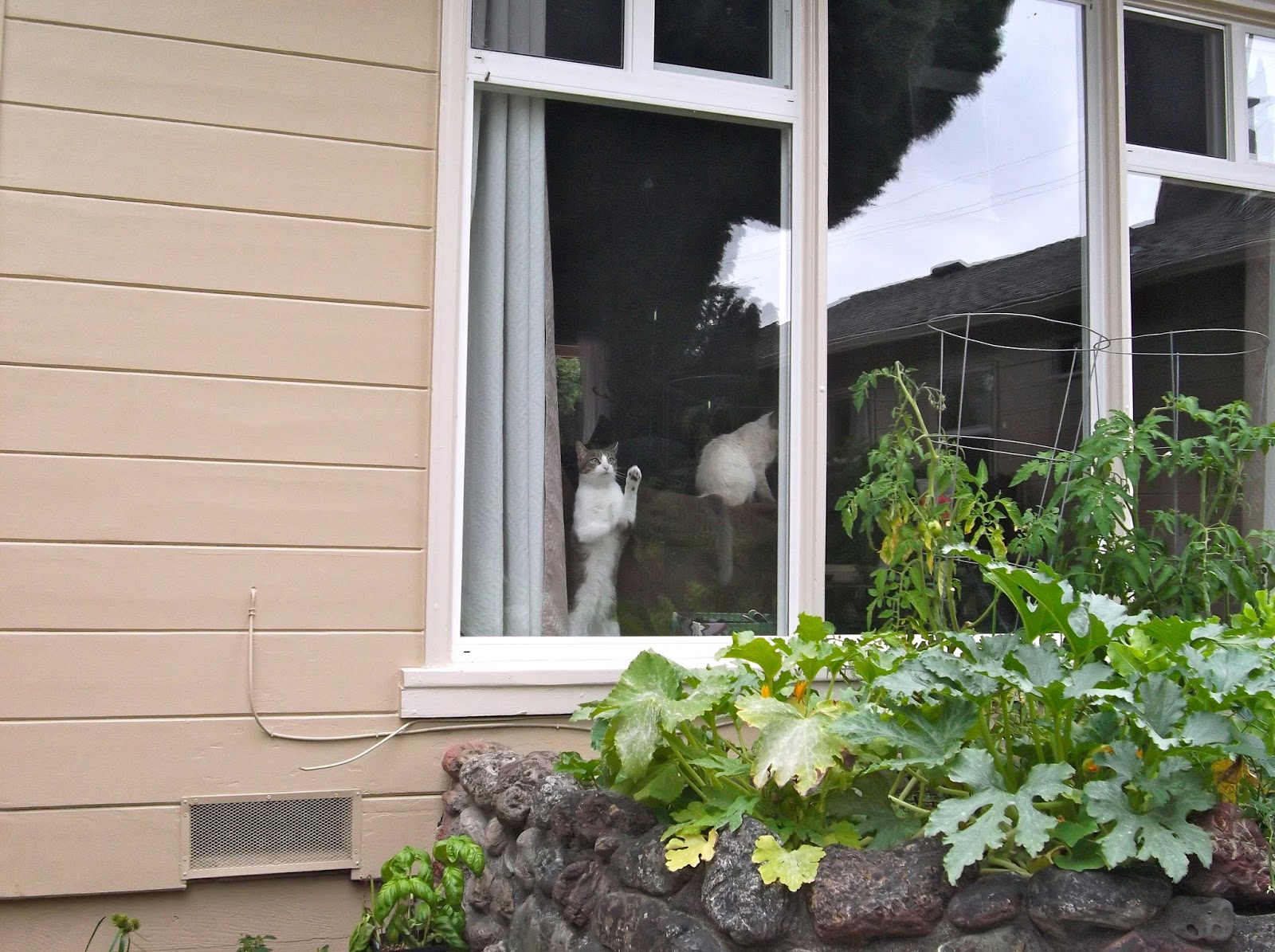 The Jewel Toned Life Spray Painted Terracotta