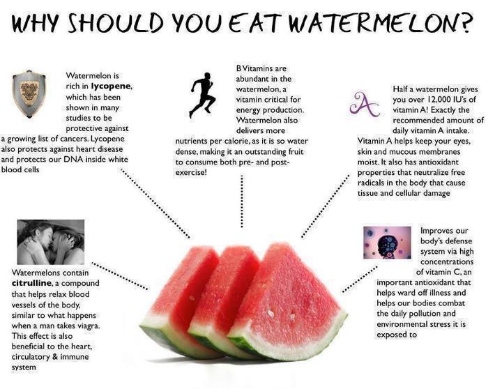 DASSYB'S BLOG Why you should consider eating a water melon today