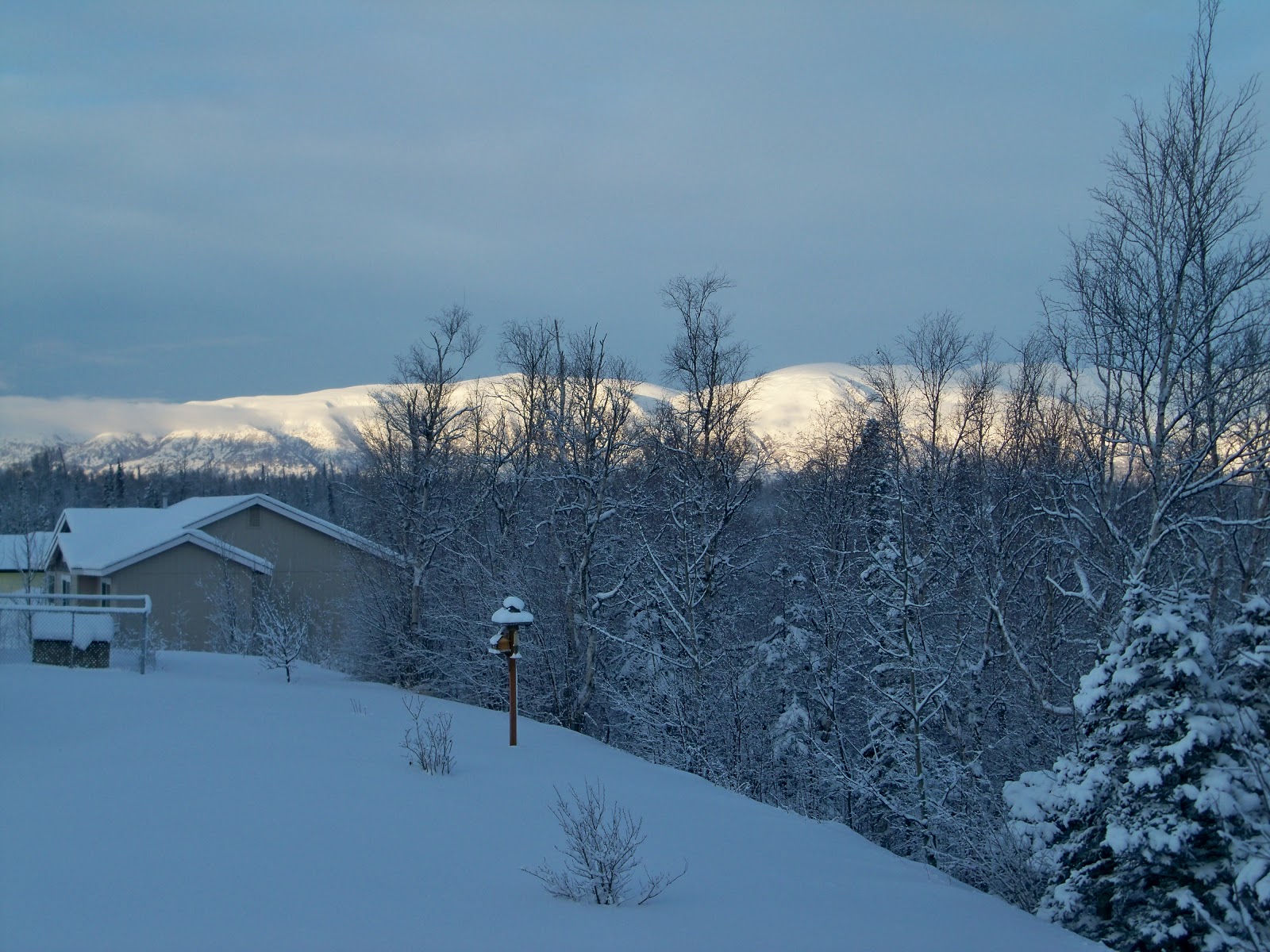 House For Sale MatSu Valley Alaska