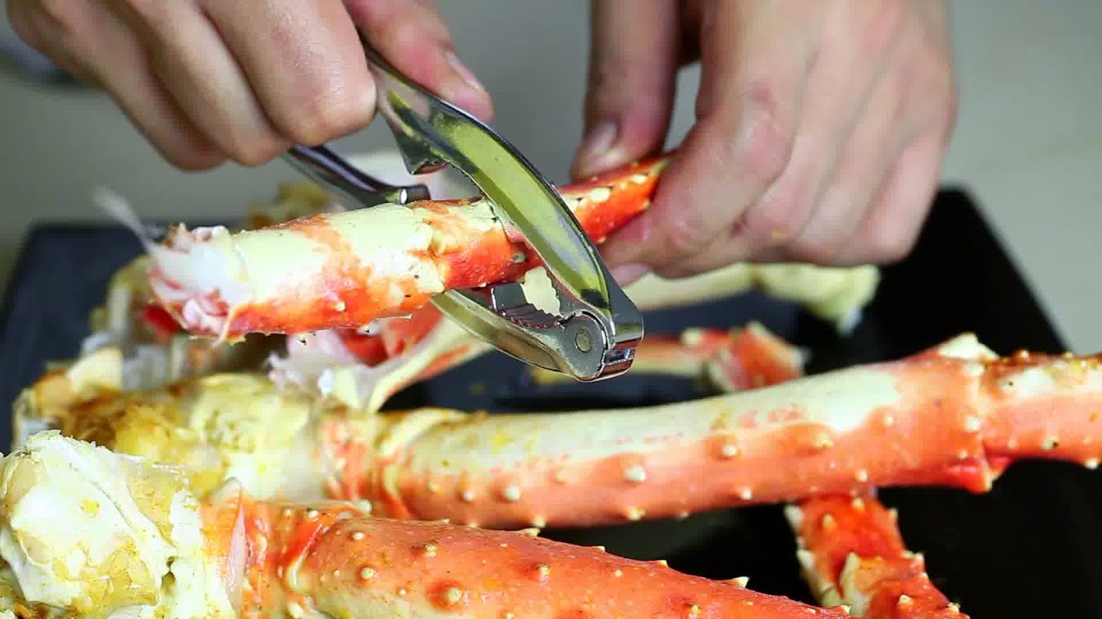 Bdsm lobster tube