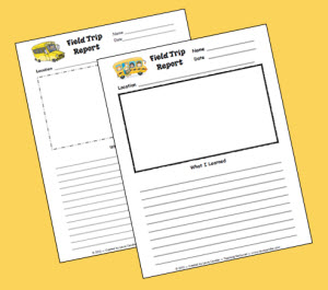 Kinds of pollution essay