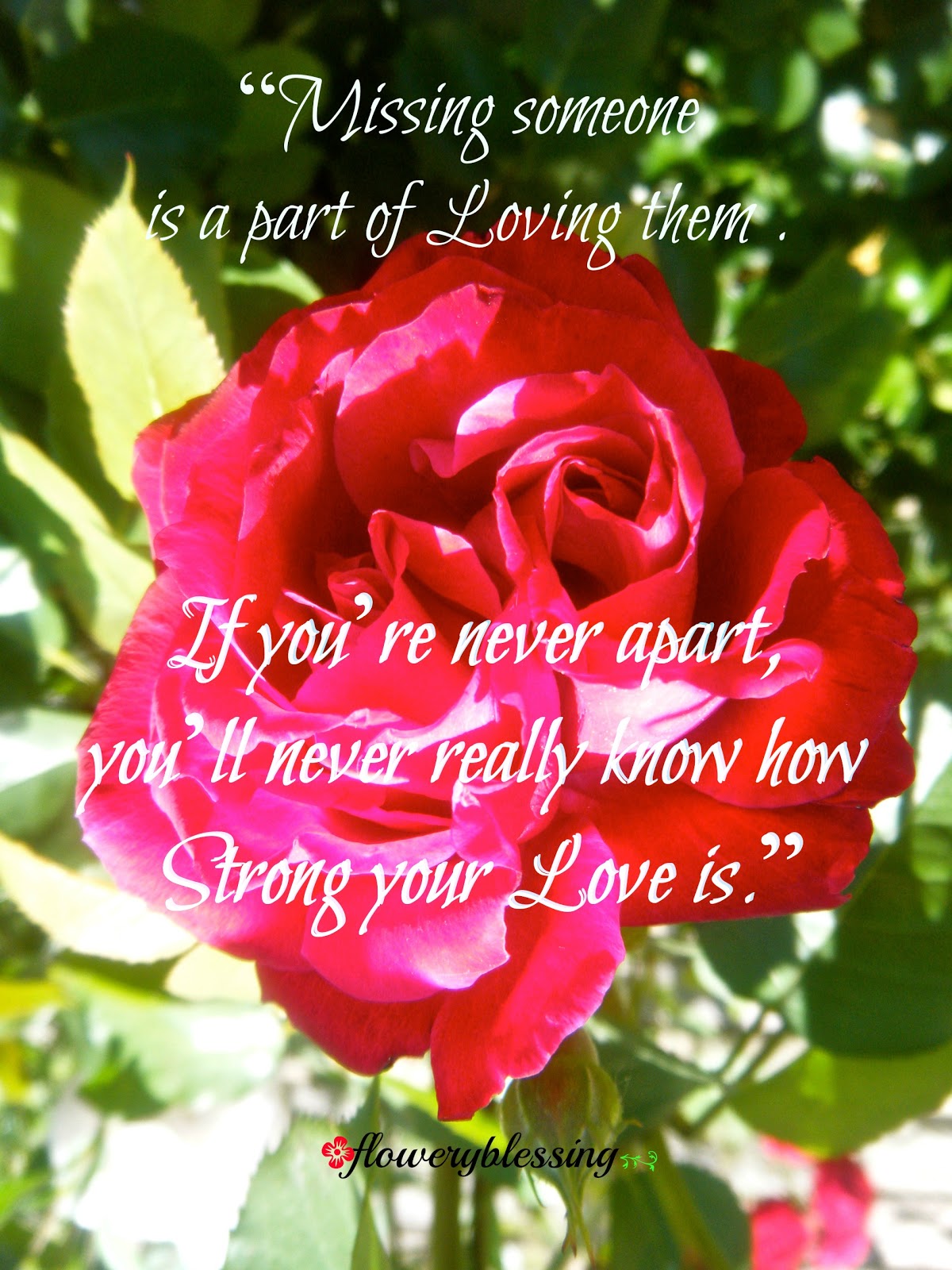 Flowery Blessing: “Missing someone is a part of Loving them . If you’re
