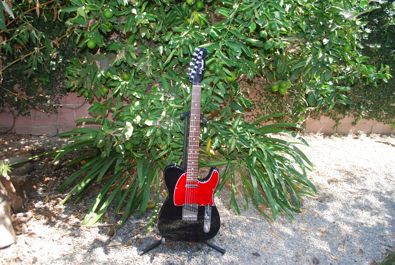 Rex and the Bass: 2008 Fender Japan Telecaster All Black TL-71-AB