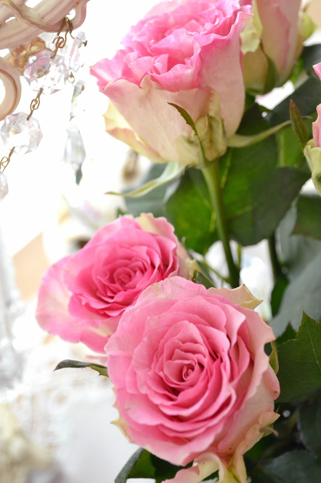 Jennelise: Pretty Pink Roses