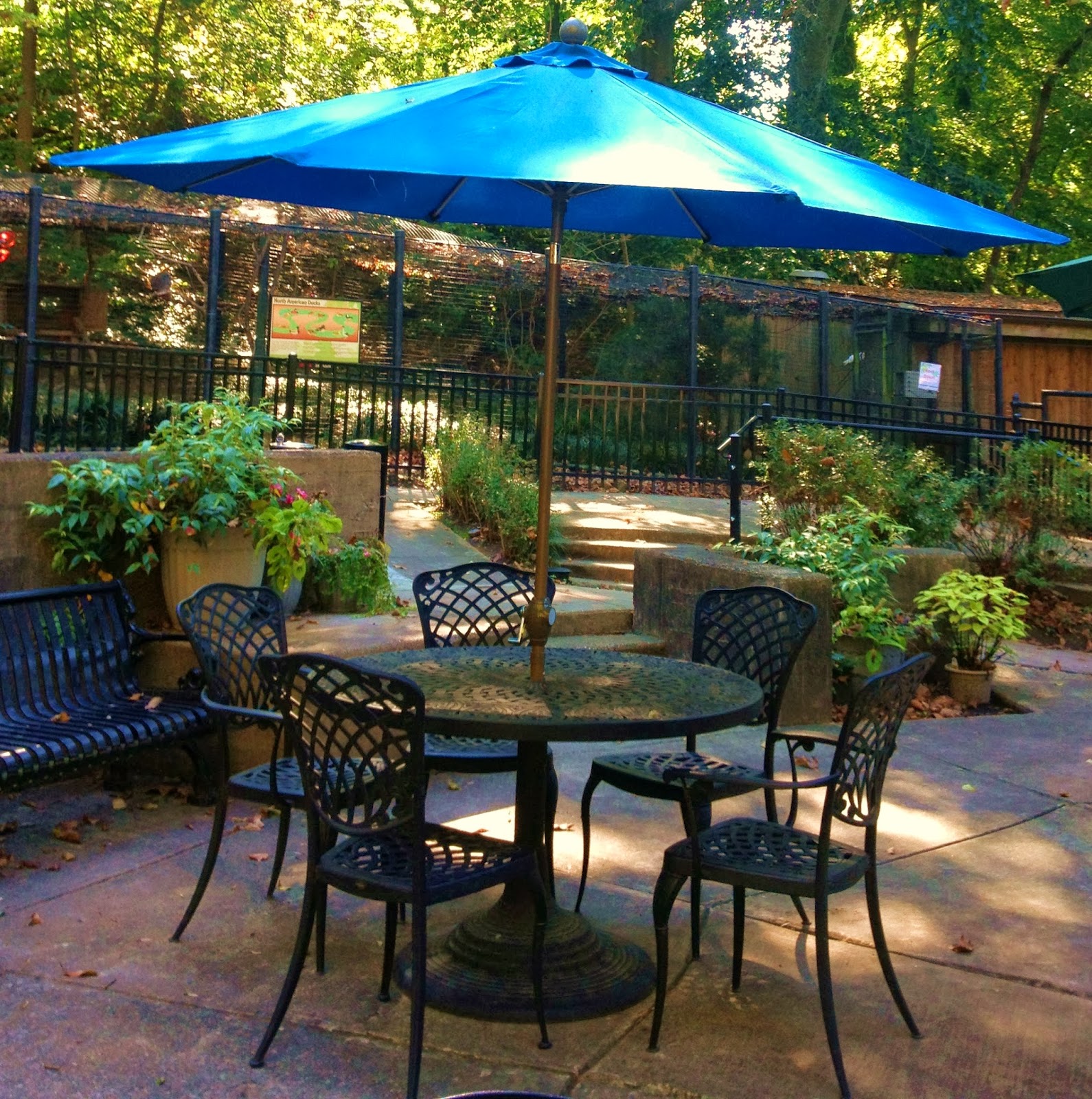 DAILY VACATIONER Local Destination Brandywine Zoo