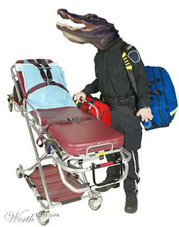 Gator-aide