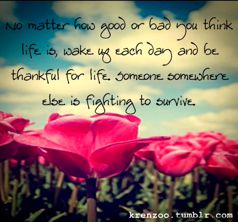 beautiful life quotes and beautiful life quotes and