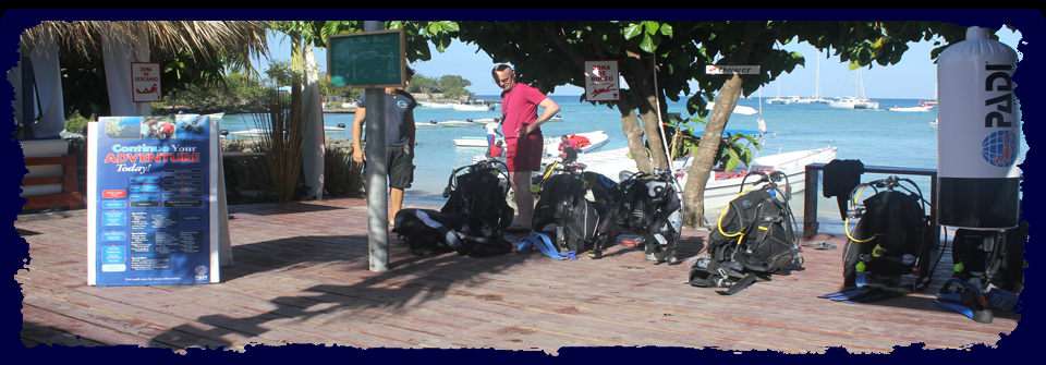 Coral Point Diving - PADI 5 Star Dive Center in Bayahibe