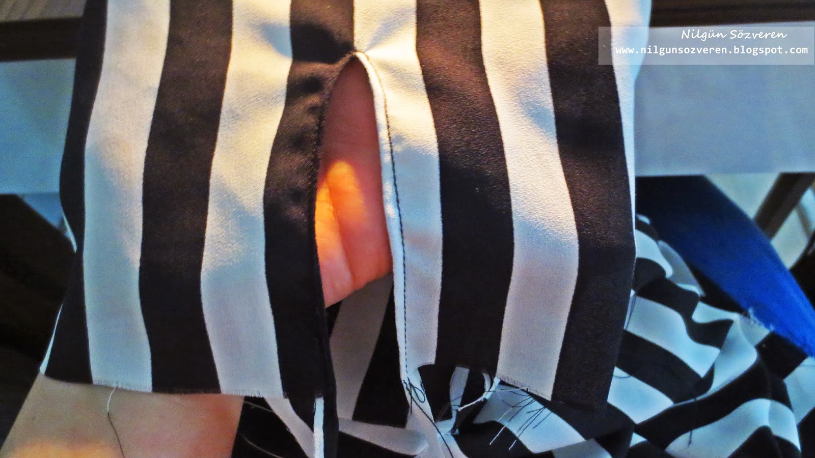 nilgun sozveren blogger