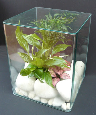 Vidrogarden: Jardín autónomo para interiores : Jardines verticales y