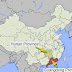 China: Eating Cats Leads To Rat Problems