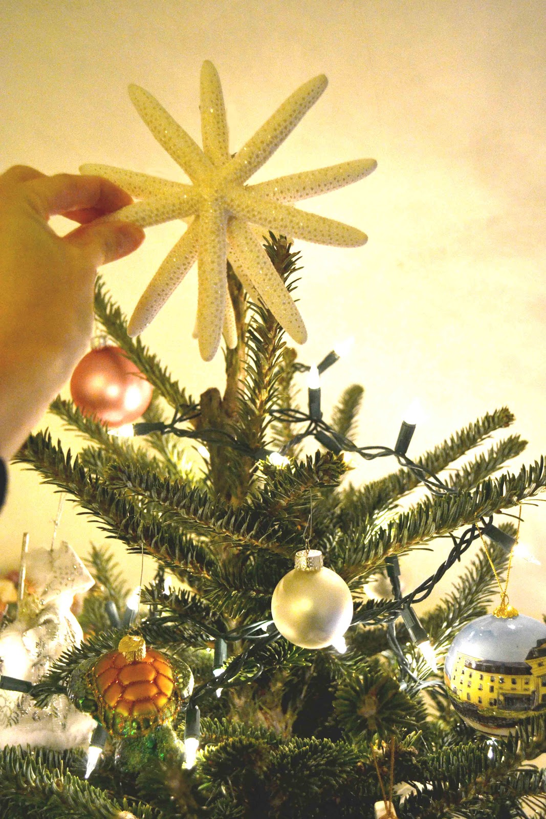 Shorely Chic DIY STARFISH CHRISTMAS TREE TOPPER