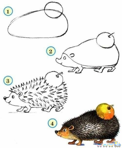 Drawing Simple Animal Porcupine pics Drawing Simple Animal Porcupine pics