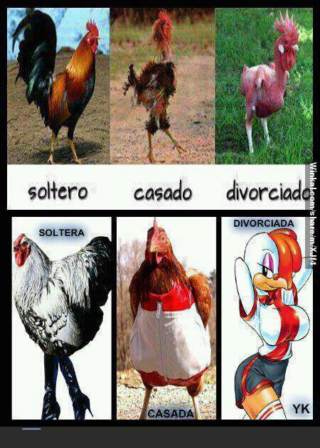 Chistesgroseros Chistes Groseros Chistes Colorados Chistes Chistesgroseros Chistes Groseros Chistes Colorados Chistes