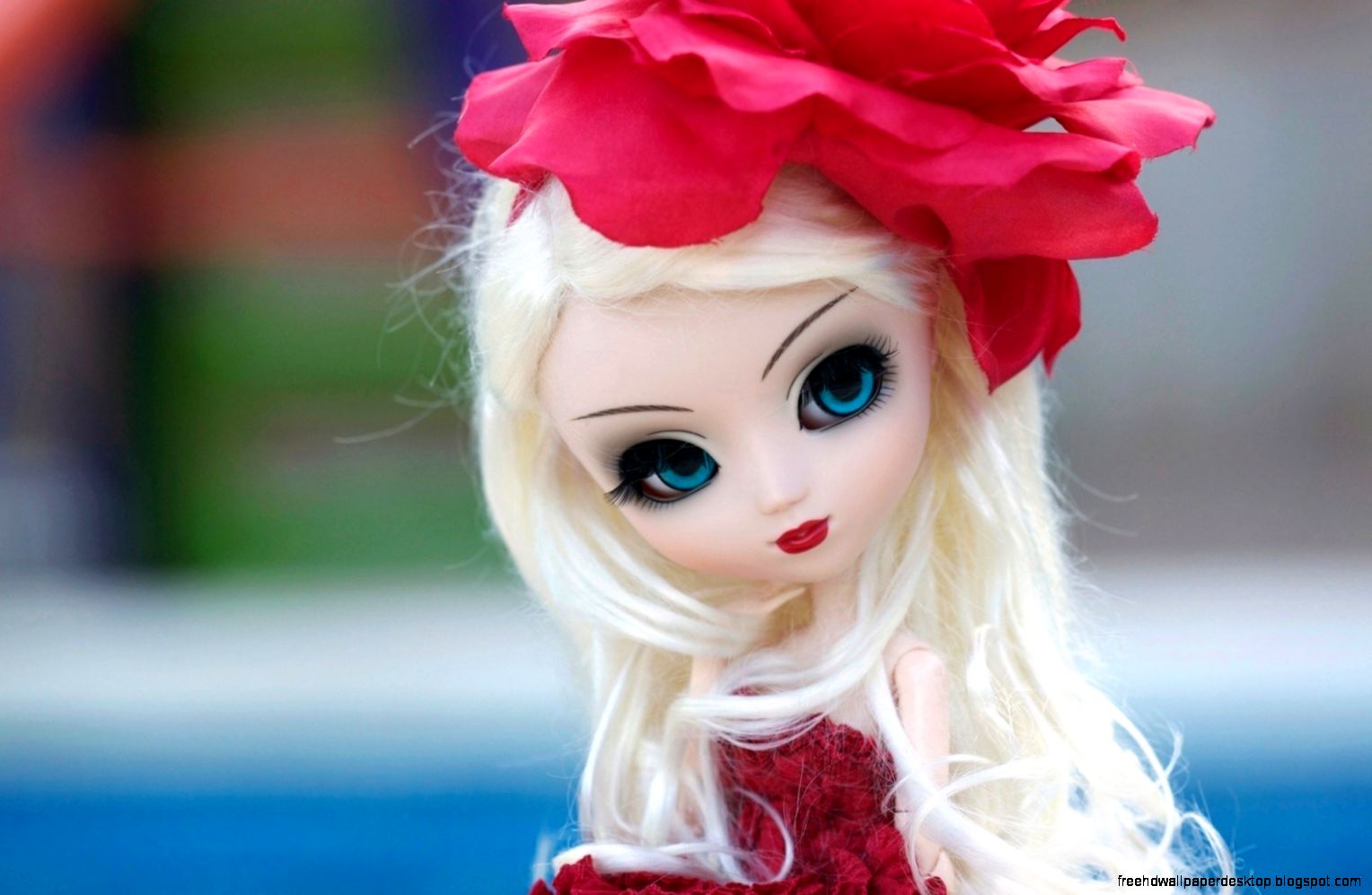 Doll Toy Look Flower HD Wallpaper FreeWallsUp Doll Toy Look Flower HD Wallpaper FreeWallsUp