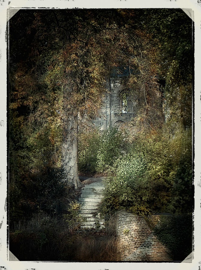 Fotografie