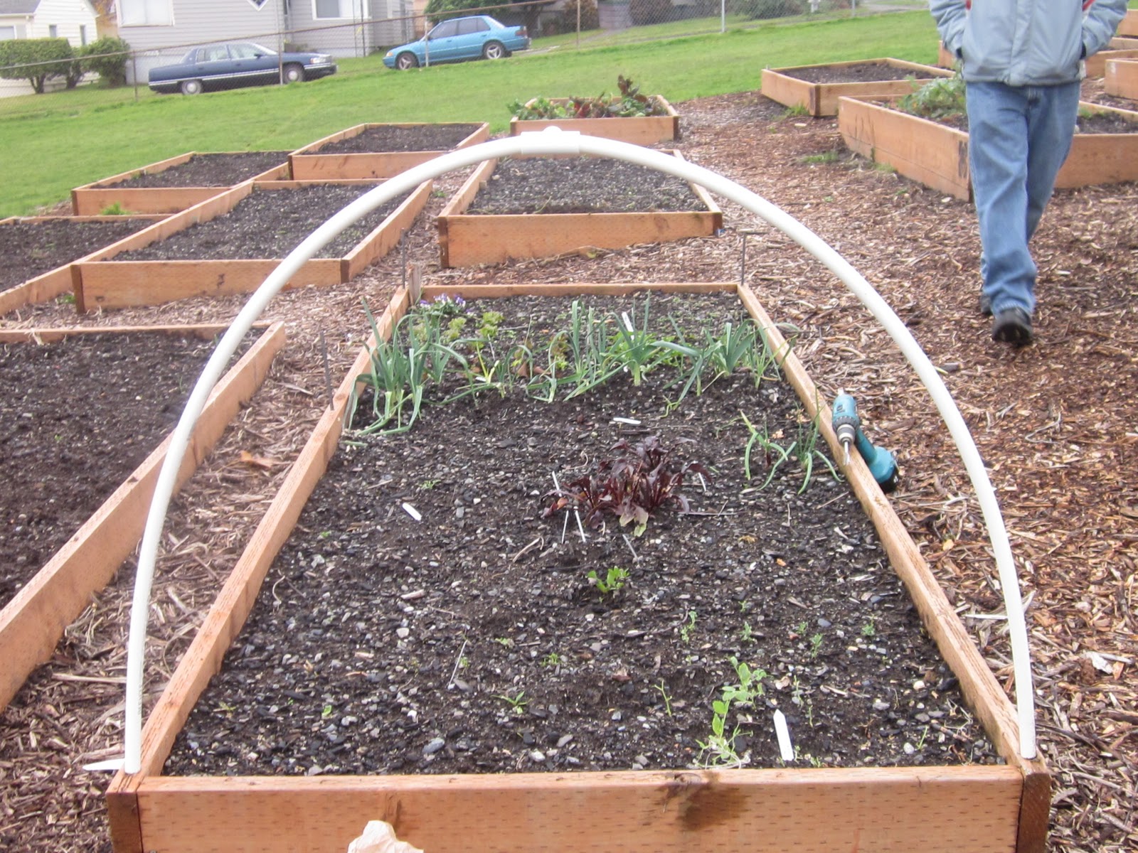 Stewart Community Garden Building a winter Cold Bed Greenhouse and other winter chores