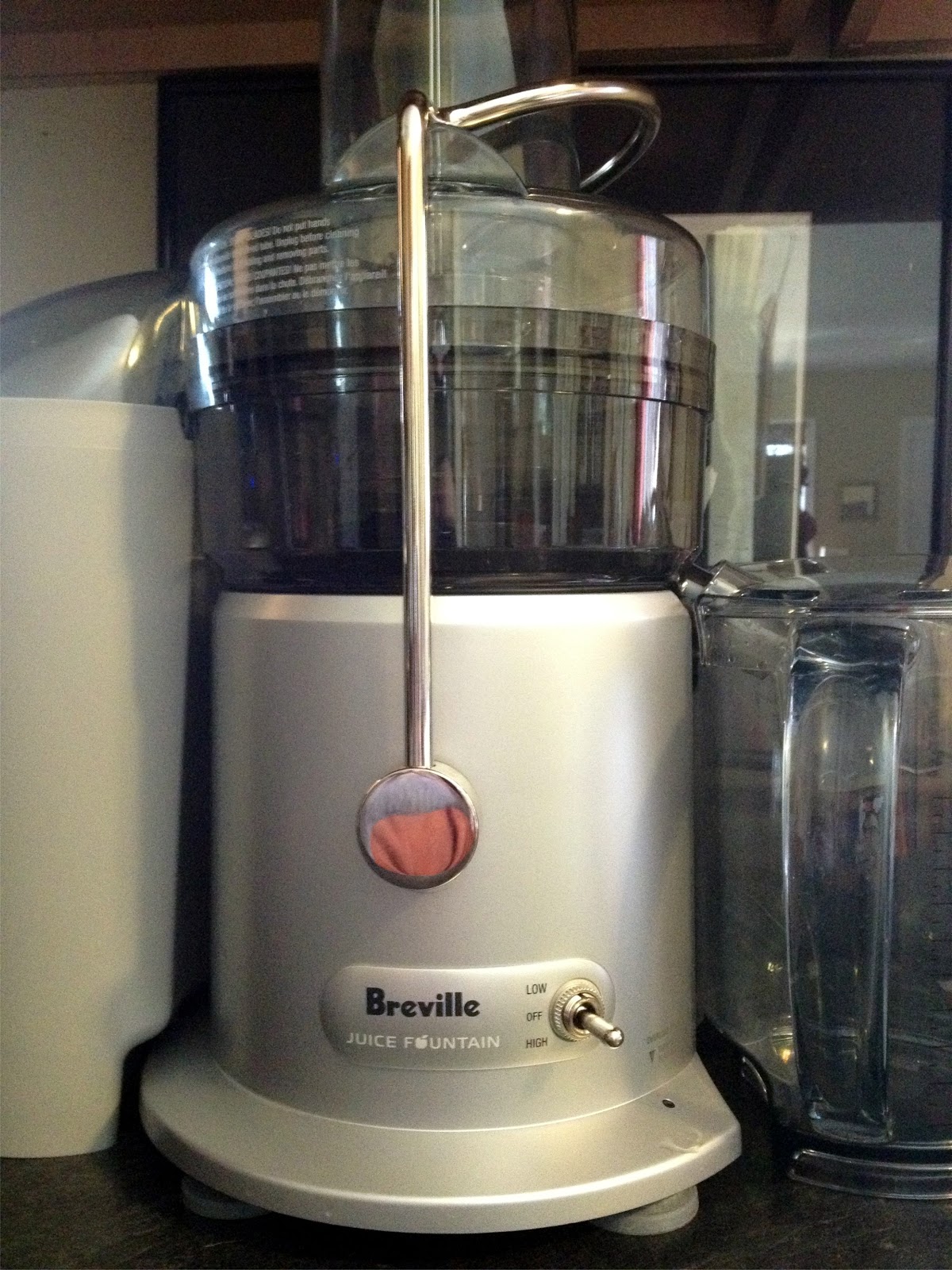 The Vegetarians Abroad Fat, Sick and Nearly Dead