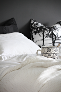 Desain Interior Kamar Tidur Wanita Dengan Dinding Hitam Desain Interior Kamar Tidur Wanita Dengan Dinding Hitam