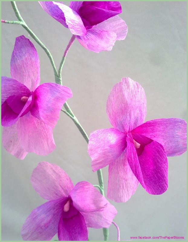 Crafty little Beanut! Crepe paper Orchid
