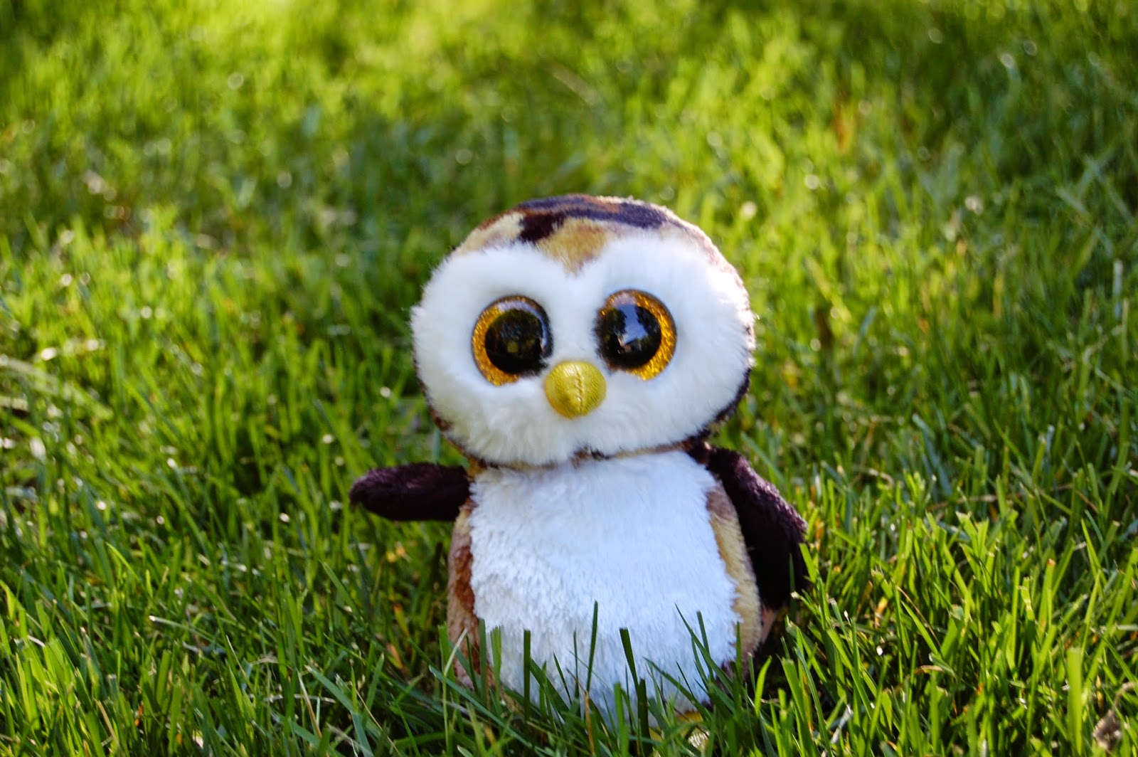 owliver beanie boo birthday