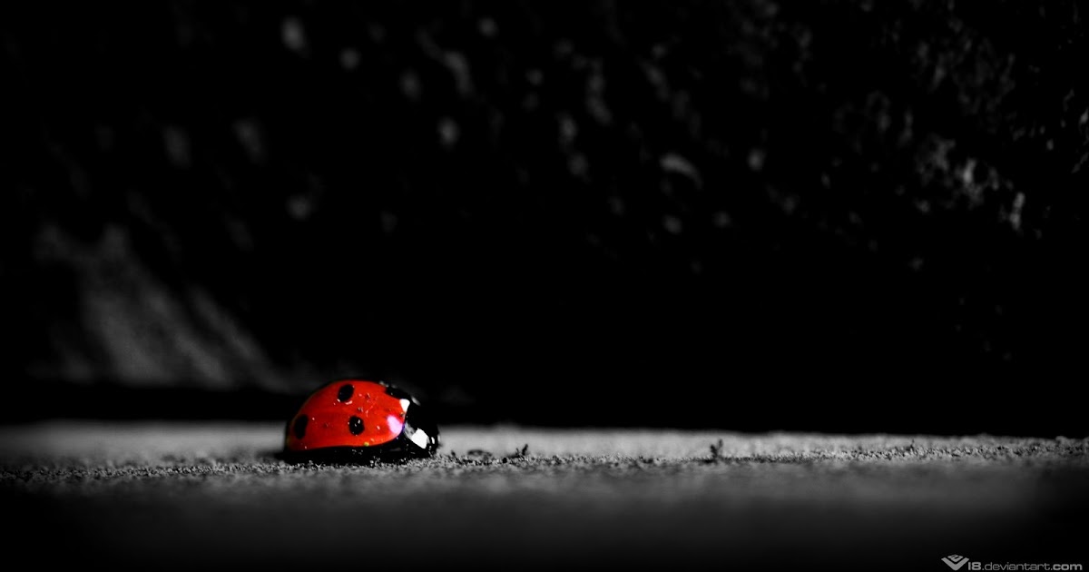 HIGH DEFINITION BLACK & WHITE WALLPAPERS | Top Hd Wallpapersz