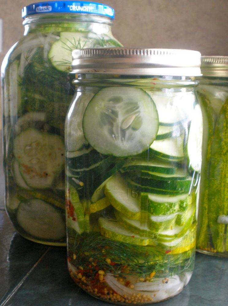 Sarahndipities fortunate handmade finds Pinterest Inspiration Refrigerator Dill Pickles
