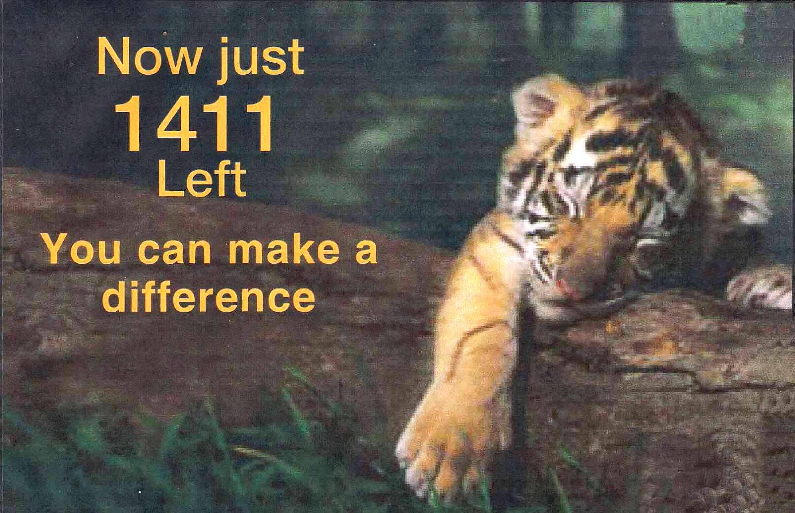 Save The Tiger