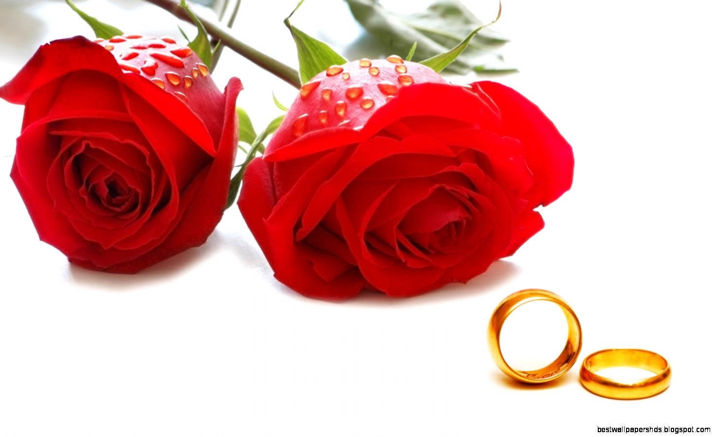 FunMozar – Valentines Day Roses FunMozar – Valentines Day Roses
