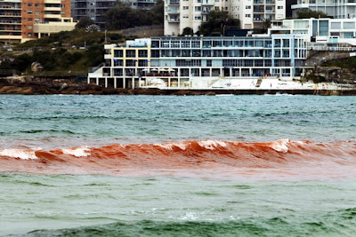 mar se volvió rojo en australia