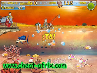 Craze line vs crack Craze line vs crack