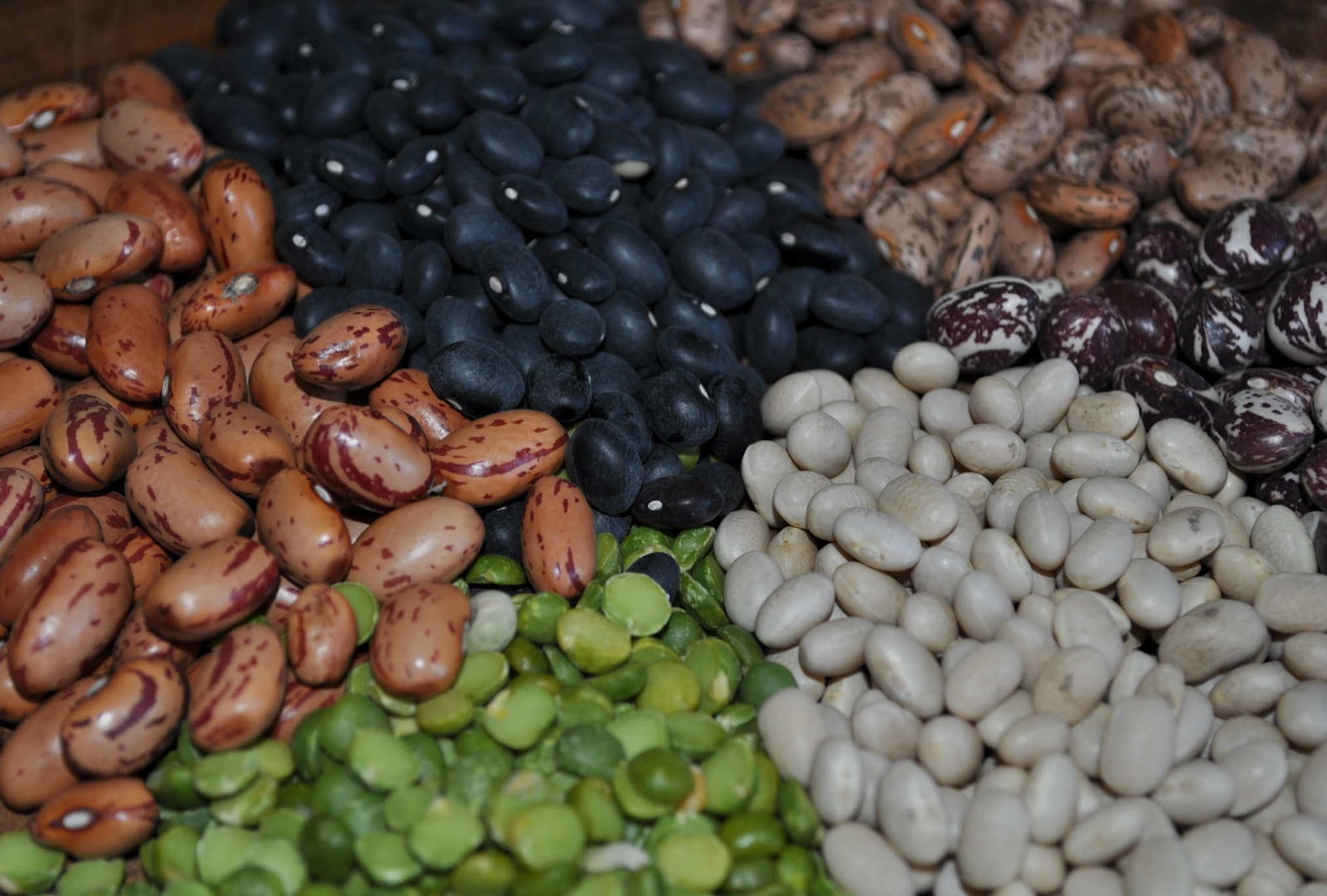 5 Best Substitutes of Meat