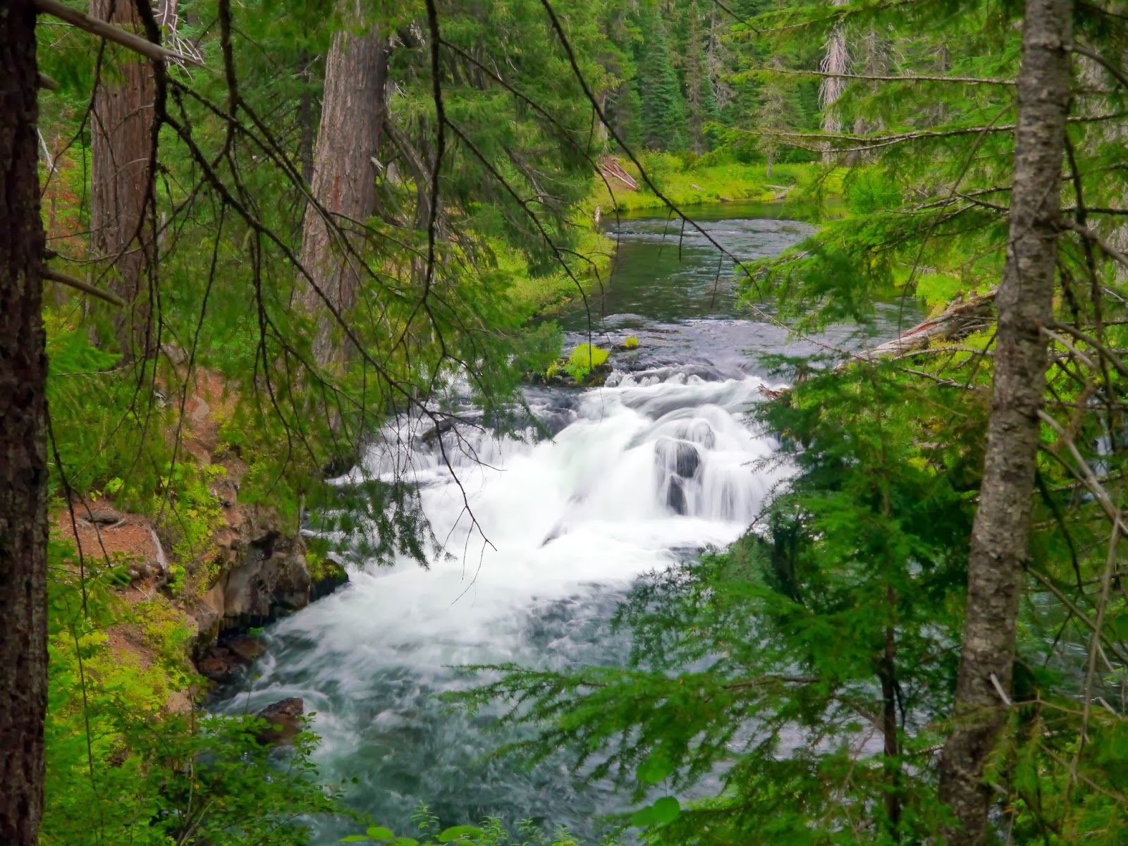 American Travel Journal Upper Rogue River and National Wild