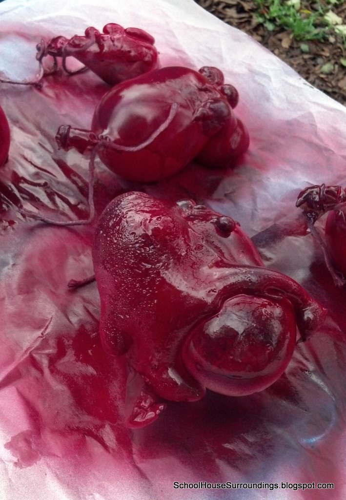 Lessons from My One Room Schoolhouse No Guts No Glory Another