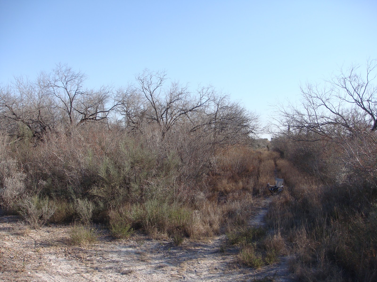 Different Plant Species