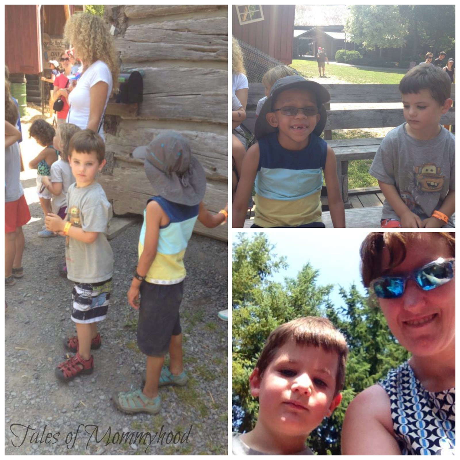 Tales of Mommyhood Saunders Farm A Full Day of Fun