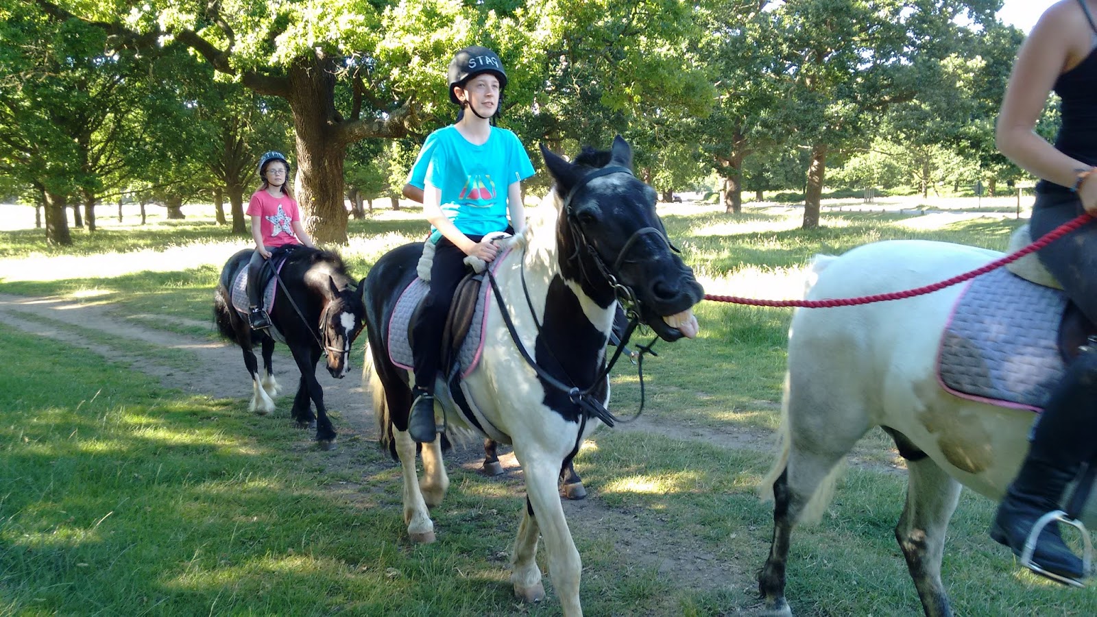 Horse riding in Richmond Park