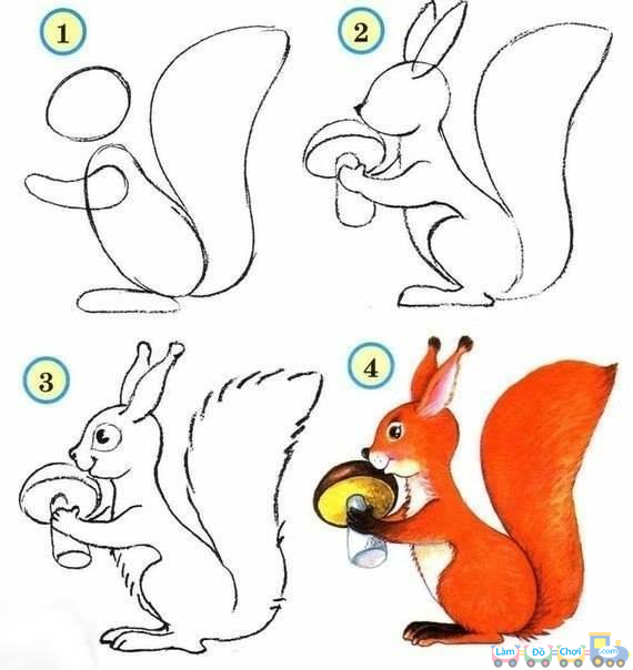 Cách vẽ một chú sóc