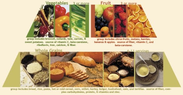 Vitamin B Sources Paleo Diet