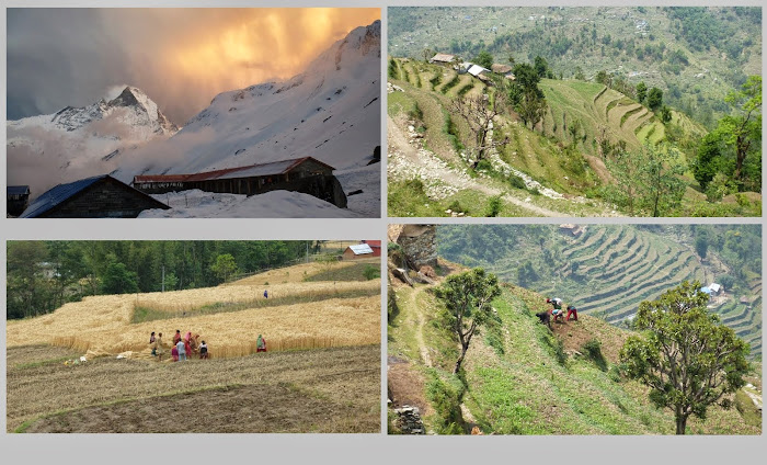 Nepal 2014-4